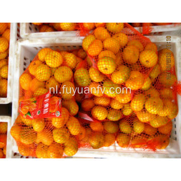 2018 organie Nanfeng mandarin